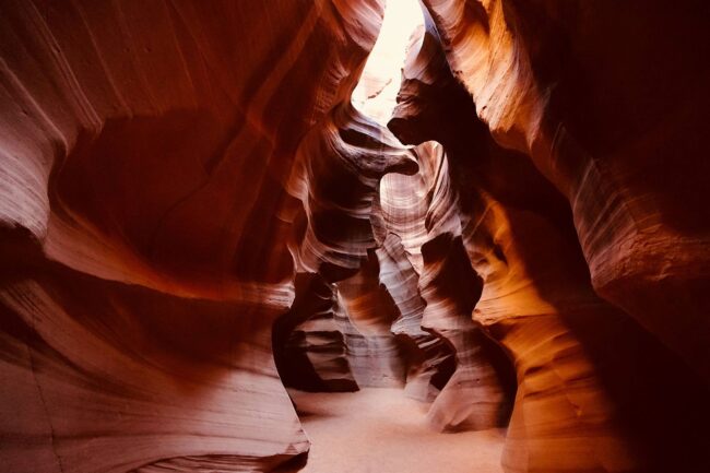 Luna de Reina 8-650x433 Front Page Diagonal Page   Luna de Reina 8-650x433 Front Page Diagonal Page